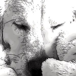 Meet your Posher, Aimee